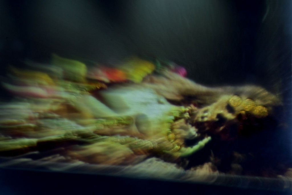 Ghost in the Screen. John Lippens