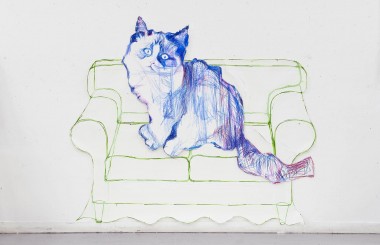 Porn & lolcats, une esthétique du web ?