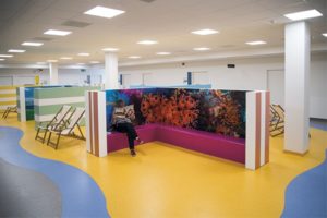Djos Janssens, Cerveaux en chantier